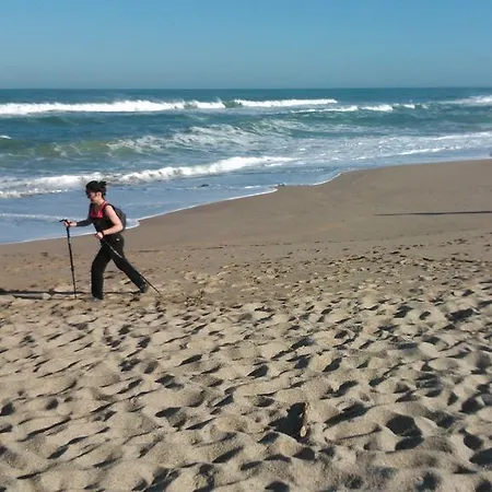 Marosenia Ttiki - Et